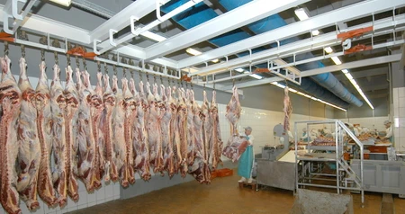 Дезинсекция на мясокомбинате в Солнечногорске, цены на услуги