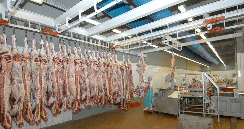 Дезинсекция на мясокомбинате в Солнечногорске, цены на услуги
